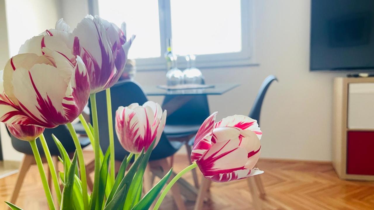 Apartment Iva Rijeka Luaran gambar