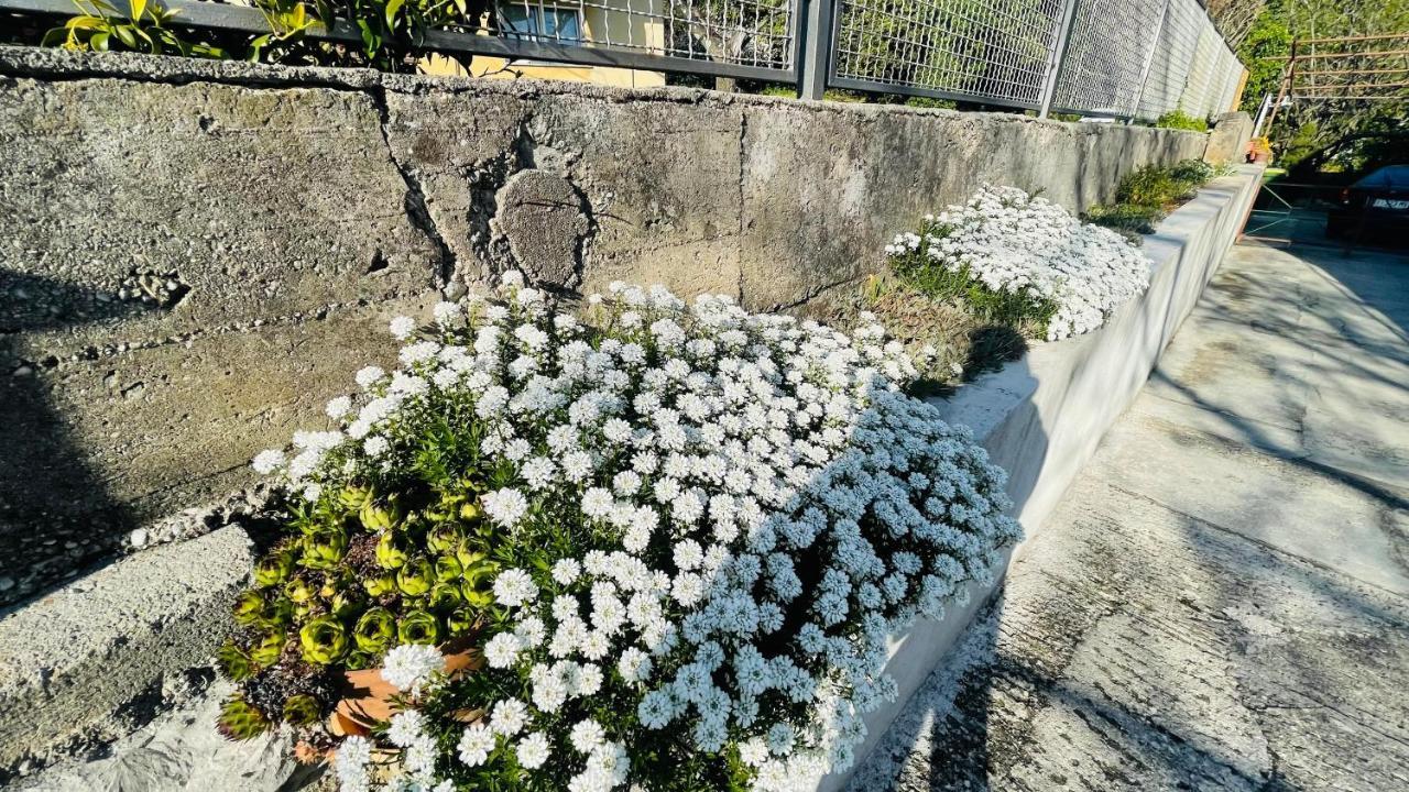 Apartment Iva Rijeka Luaran gambar